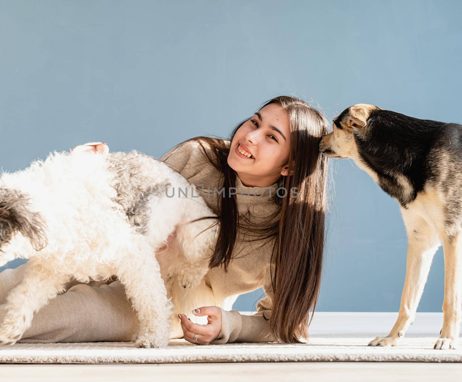 Beautiful brunette woman with playful mixed breed dog, embracing and having fun at home