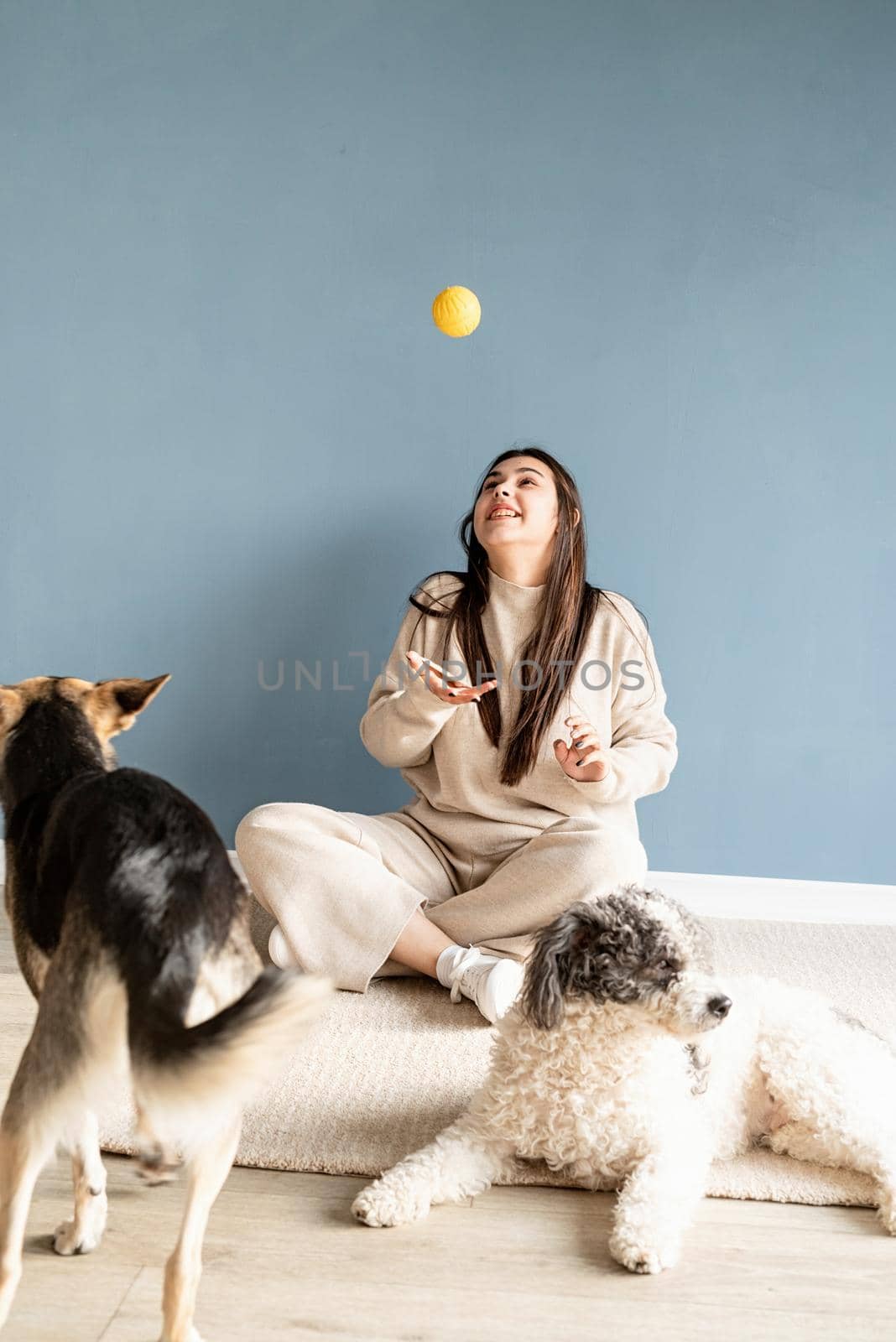 Beautiful woman with mixed breed dog playing ball at home by Desperada