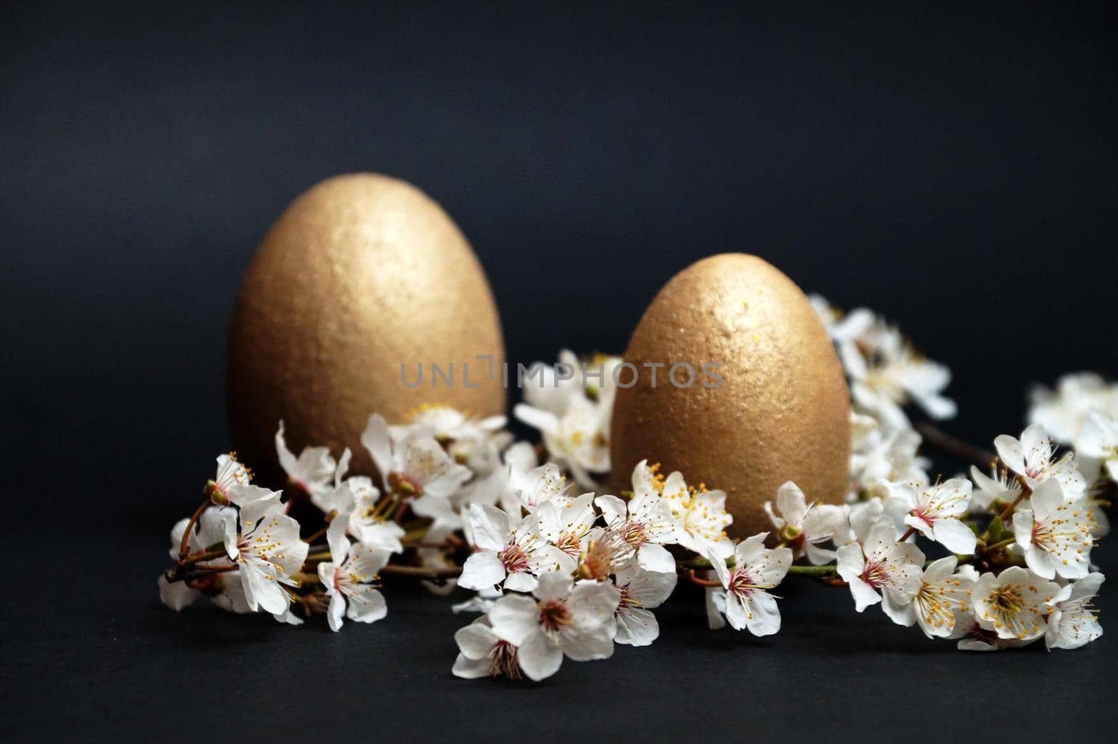 golden eggs and flowering branch on black background, easter concept