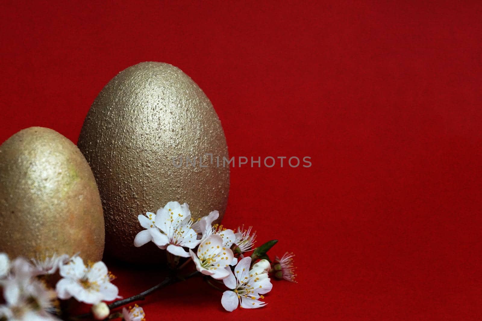 golden eggs and flowering branch on red background, easter concept, copy space