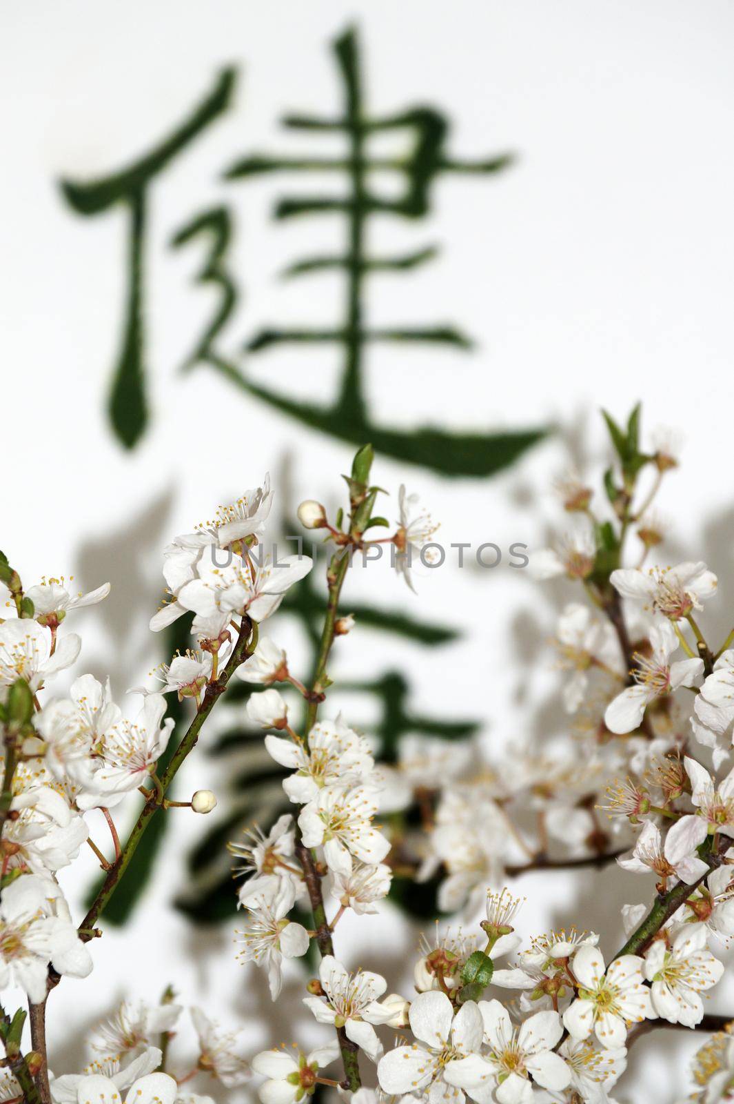 blooming spring branch against the background of hieroglyphs made of green stabilized moss.