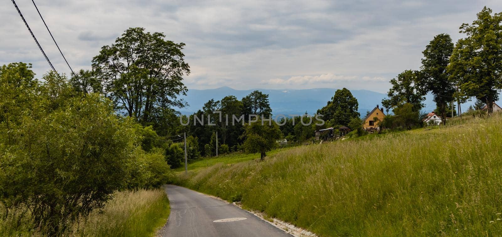 Long path with bushes and fields around in Kaczawskie mountains by Wierzchu