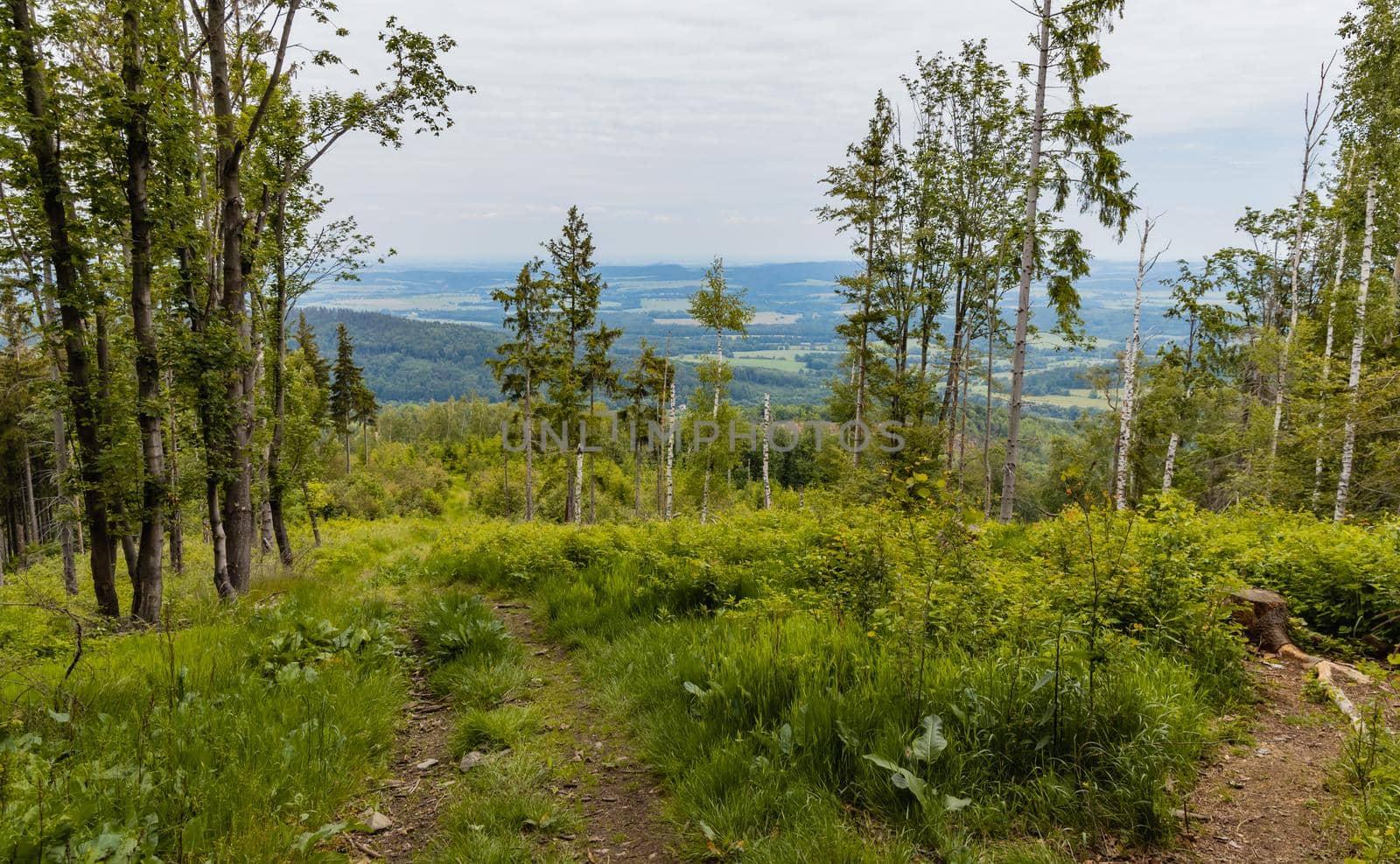 Beautiful panorama of Kaczawskie mountains with big fields and trees around seen from viewpoint