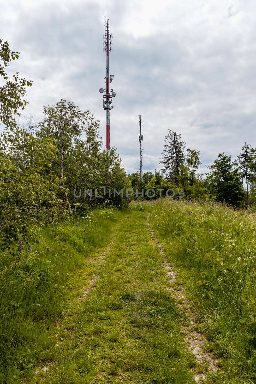 Long path with bushes and fields around in Kaczawskie mountains by Wierzchu