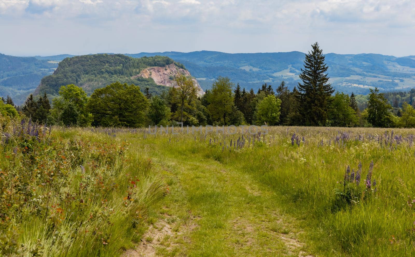 Long path with bushes and fields around in Kaczawskie mountains by Wierzchu