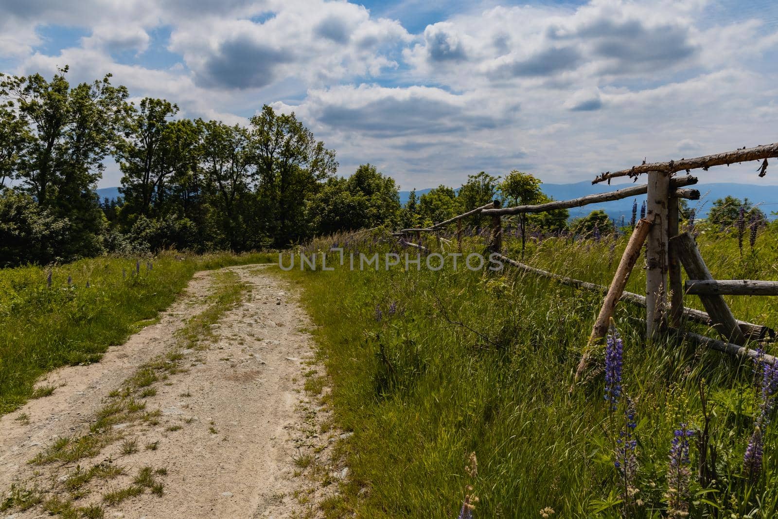 Long path with bushes and fields around in Kaczawskie mountains by Wierzchu