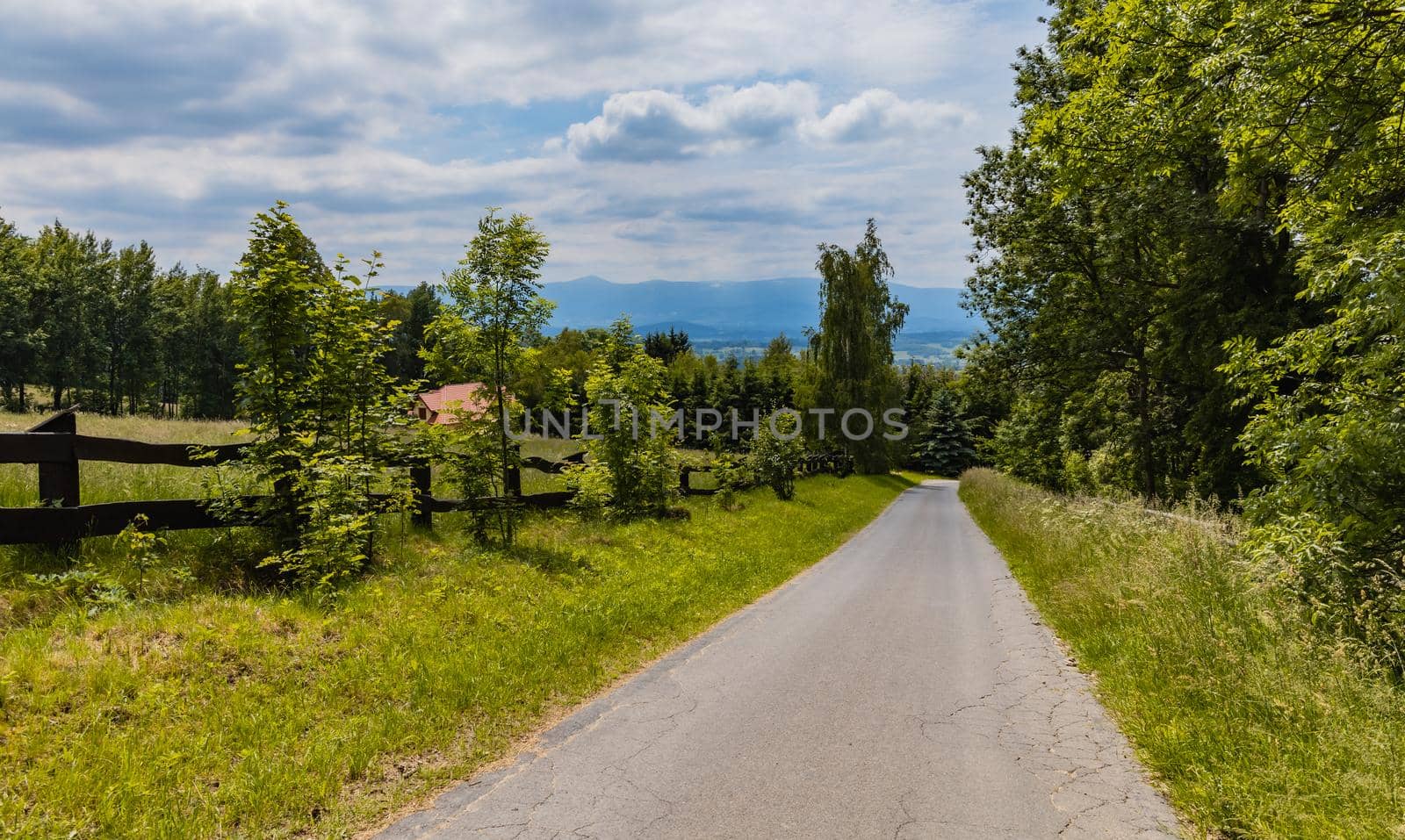 Long path with bushes and fields around in Kaczawskie mountains by Wierzchu