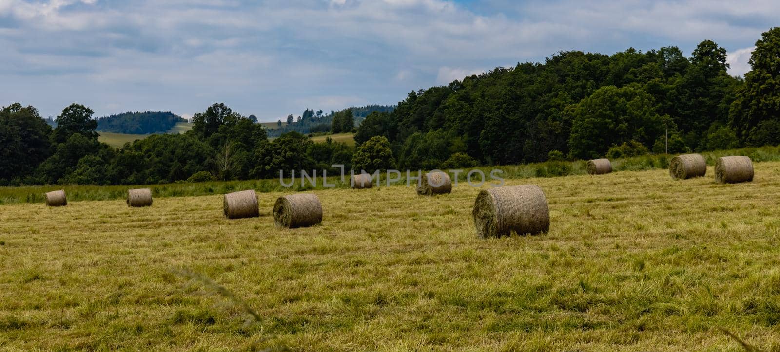 Big green fields of wheat trees and bushes in Kaczawskie mountains at cloudy day by Wierzchu