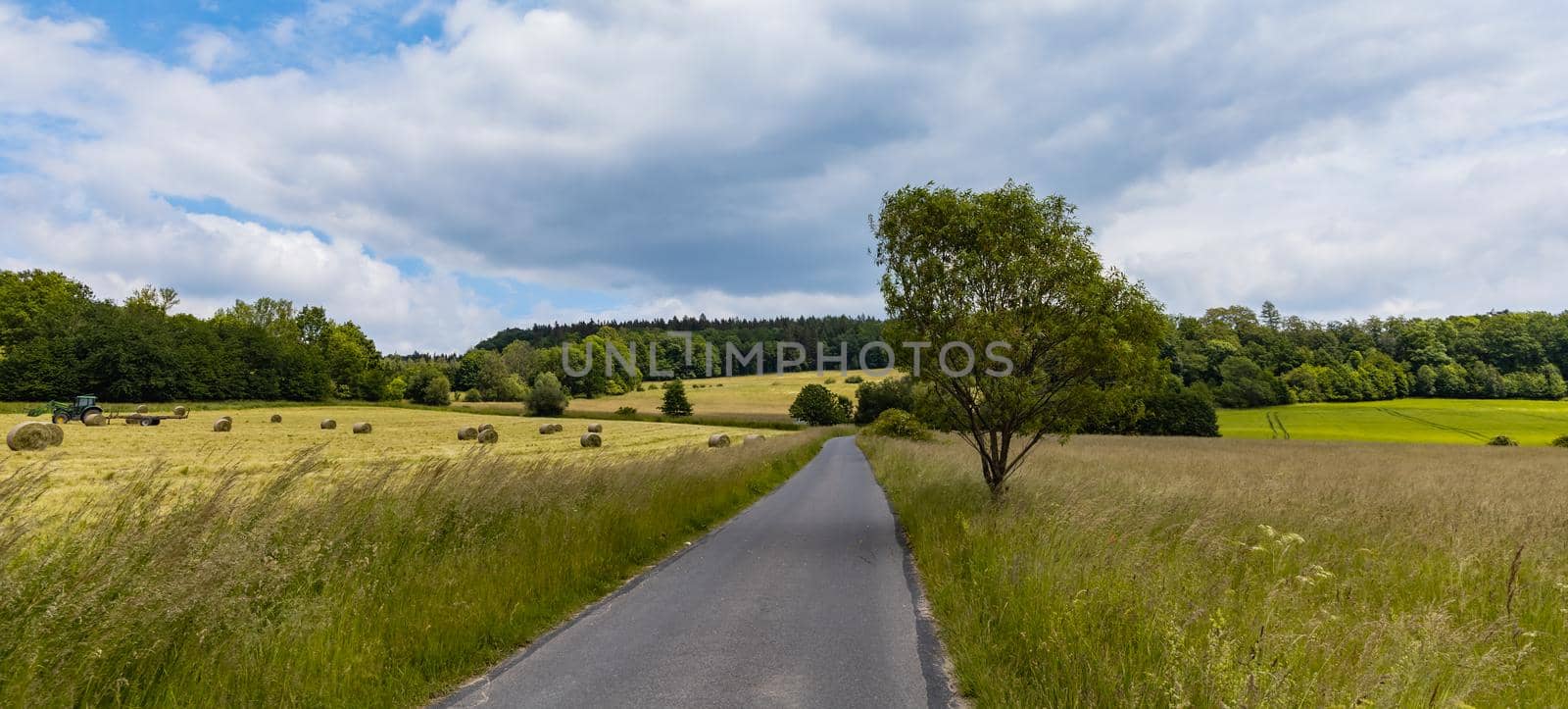 Long path with bushes and fields around in Kaczawskie mountains by Wierzchu