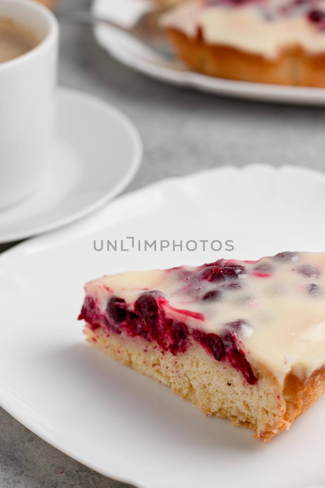 Homemade cake with cranberries and sour cream. Piece of pie close up. Vertical image by galsand