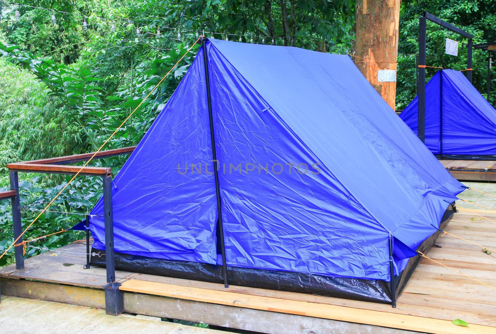 close up tent blue accommodation camping relax in forest by pramot