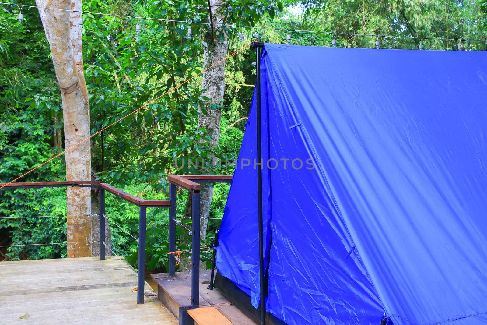 close up tent blue accommodation camping relax in forest by pramot