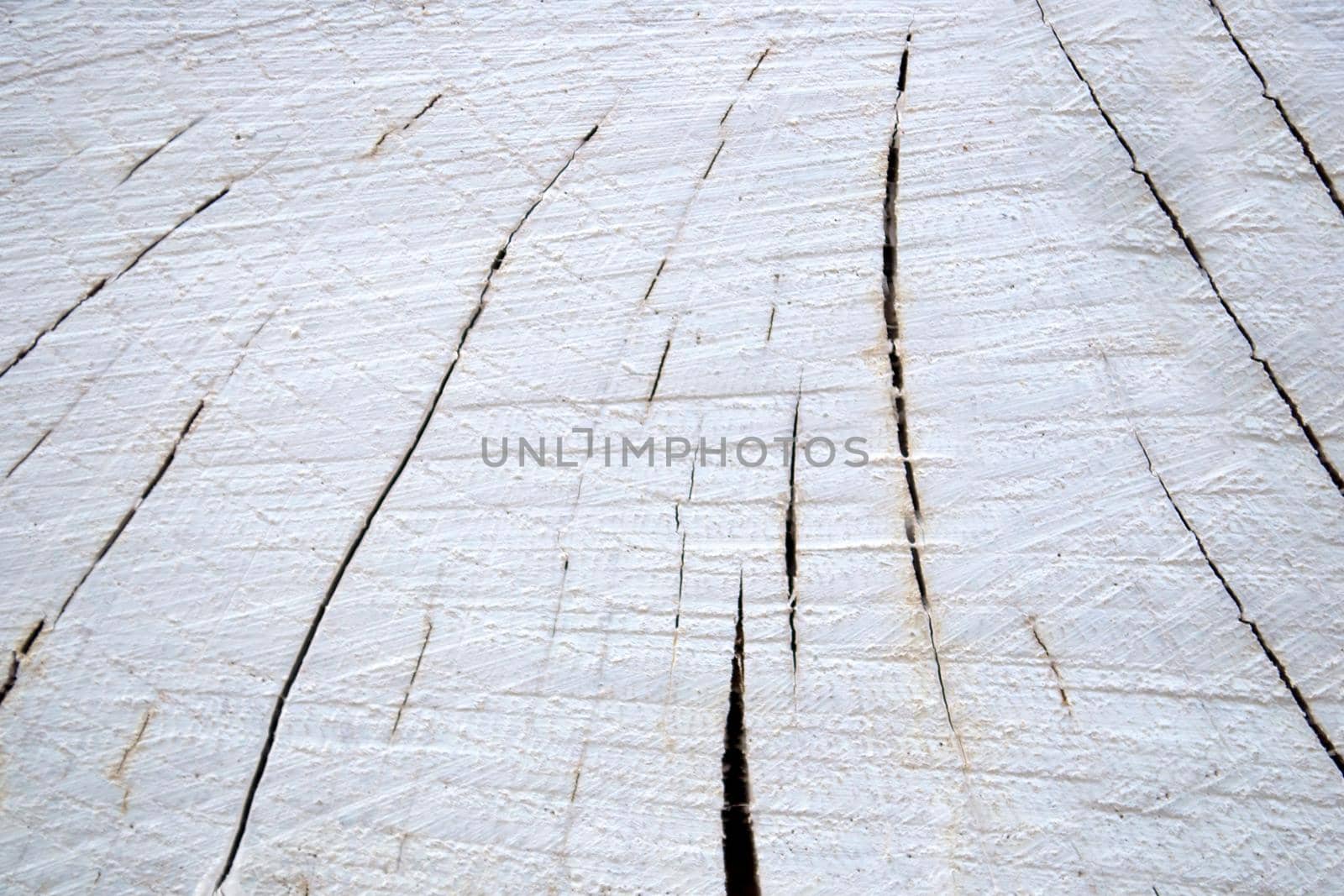 Old cracked floorboard in white color close-up.Texture or background