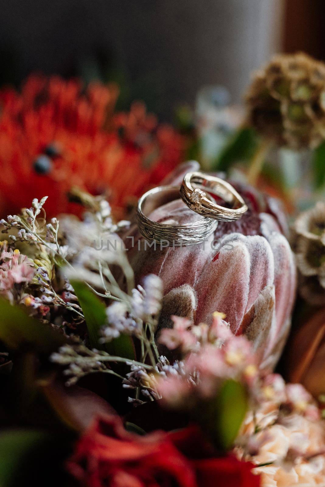 Gold wedding rings licked under the bark of a tree on a red wedding bouquet