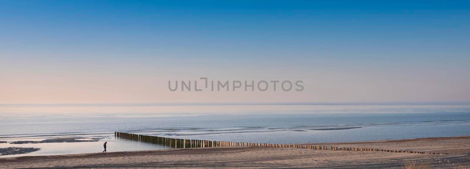 lonely figure strolls along beach of north sea in dutch province of Zeeland under blue sky in spring by ahavelaar