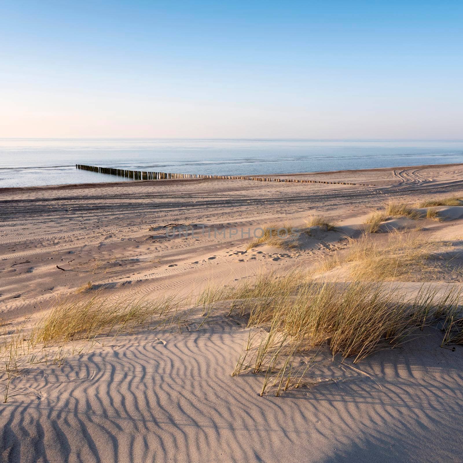 sand dunes and deserted beach on the dutch coast of north sea in province of zeeland by ahavelaar
