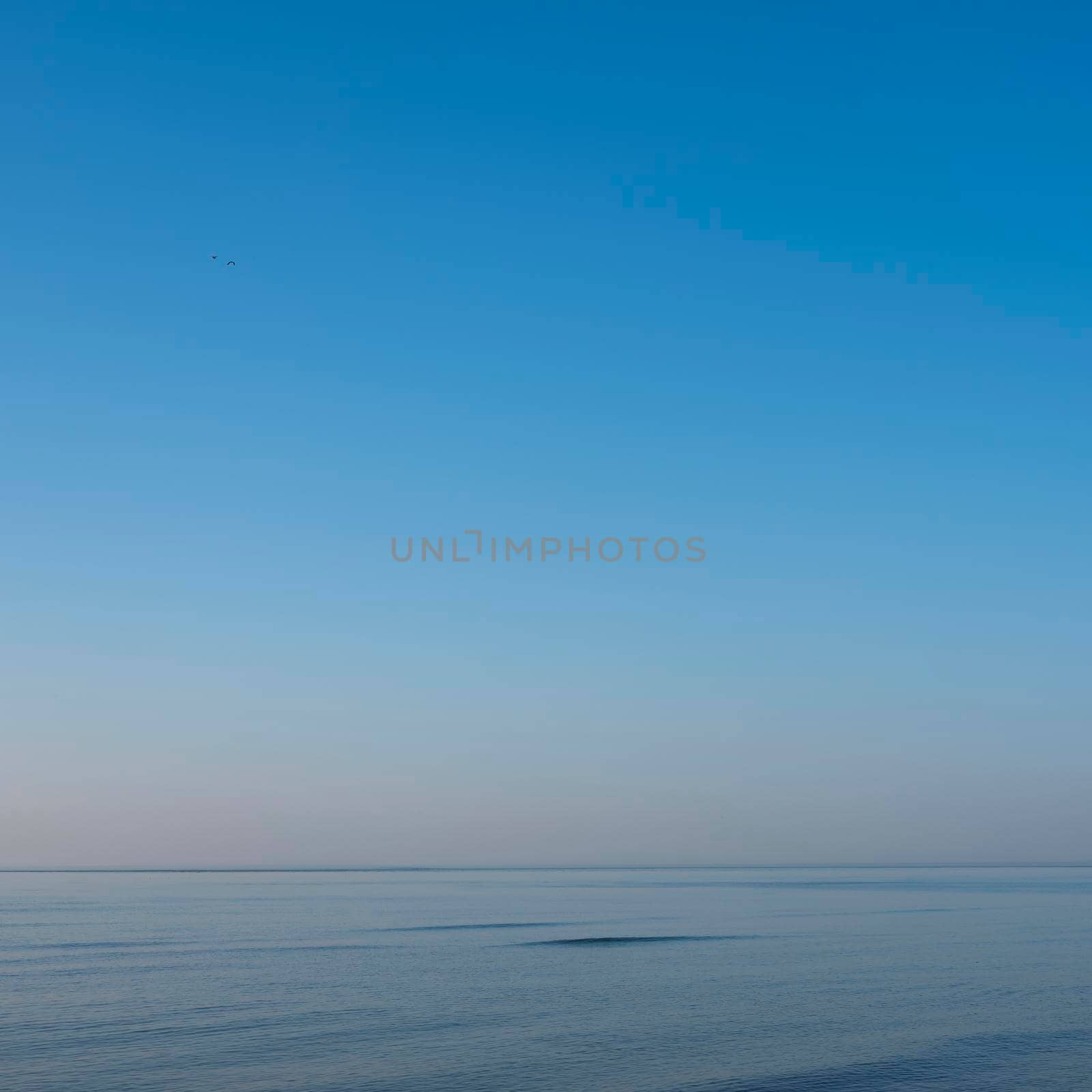 calm blue sea with one small wave under blue sky by ahavelaar