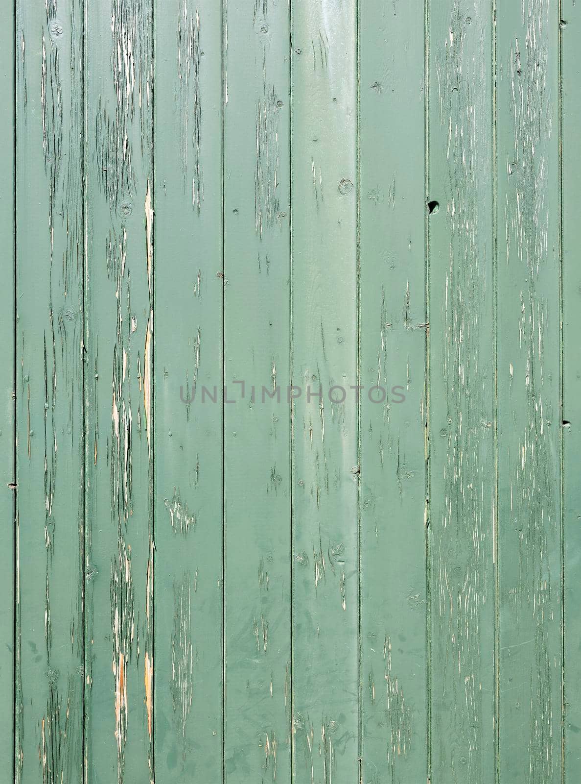 weathered green pant on vertical part of board from old wooden planks