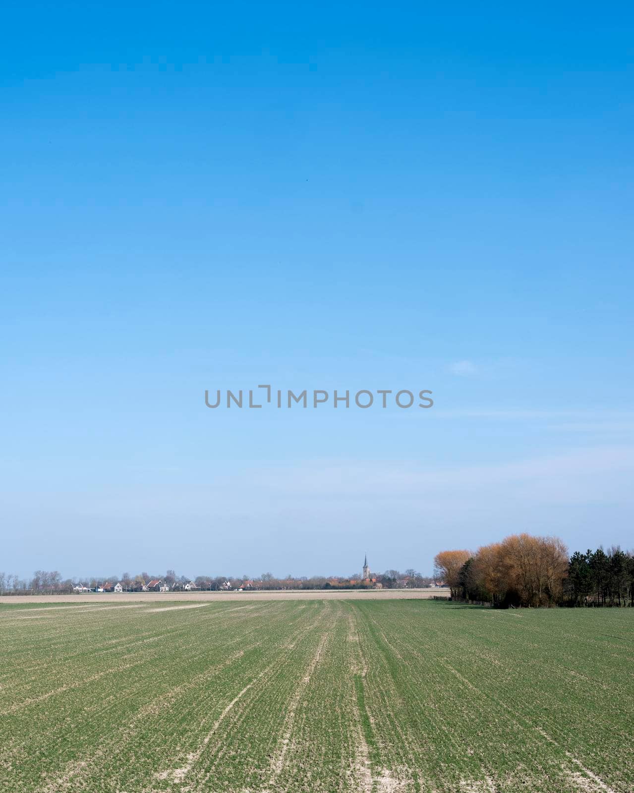field near dreischor on schouwen-duiveland in dutch province of zeeland in the netherlands on sunny day in spring.