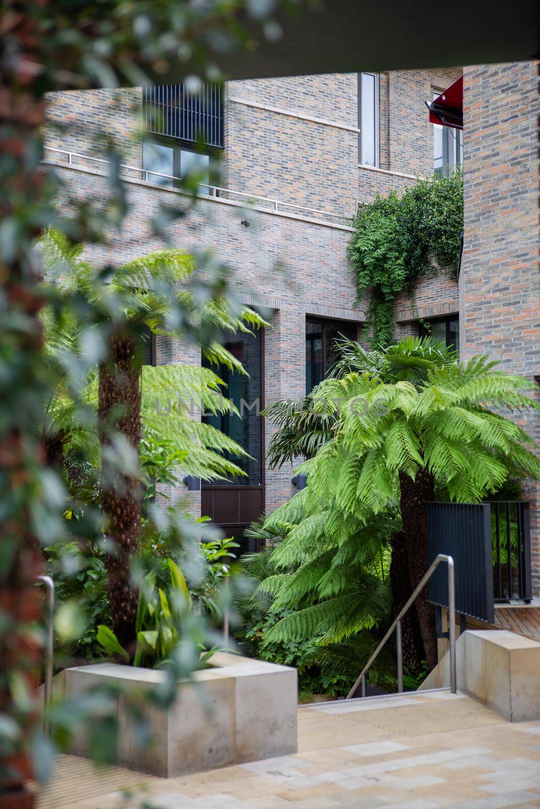 Plants and small palm trees down the stairs and at the entrance of gray building. Door of building with modern architecture surrounded by nature. Houseplants in the city