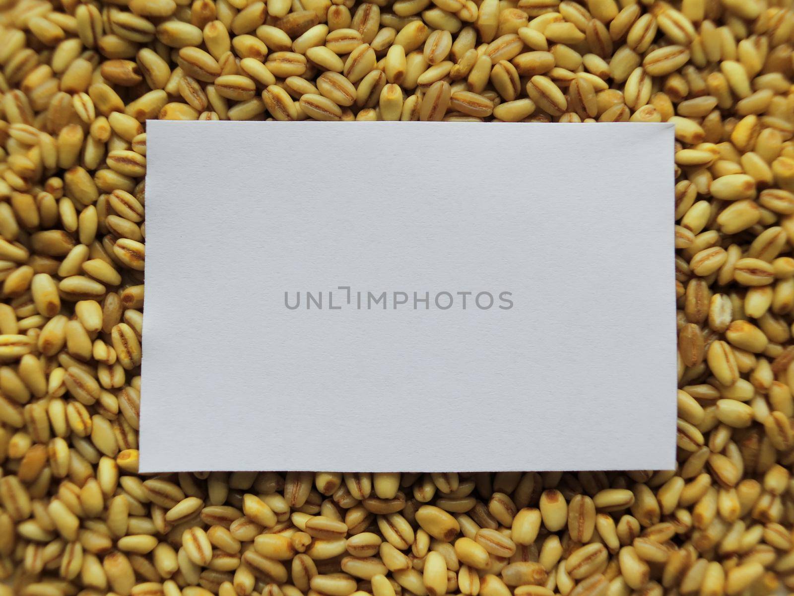 White tag on Heap of raw wheat background