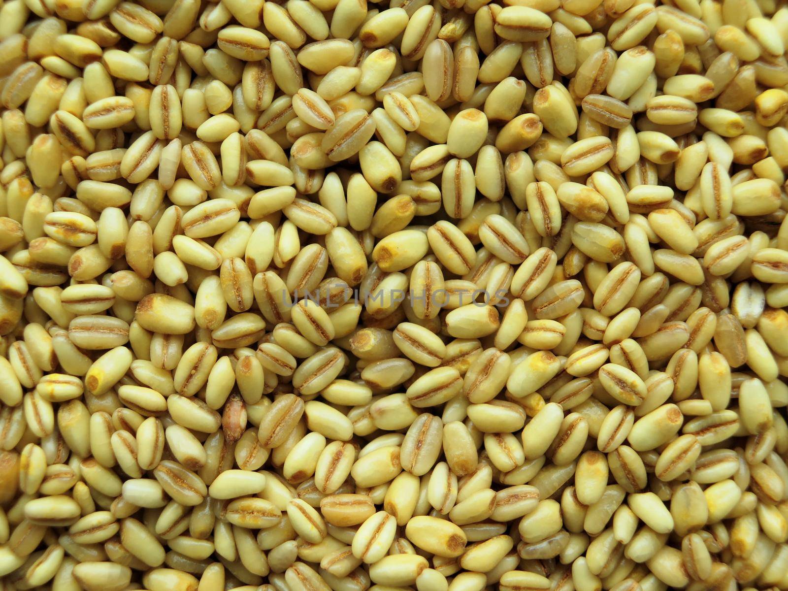 Closeup of Heap of raw wheat Background by aroas