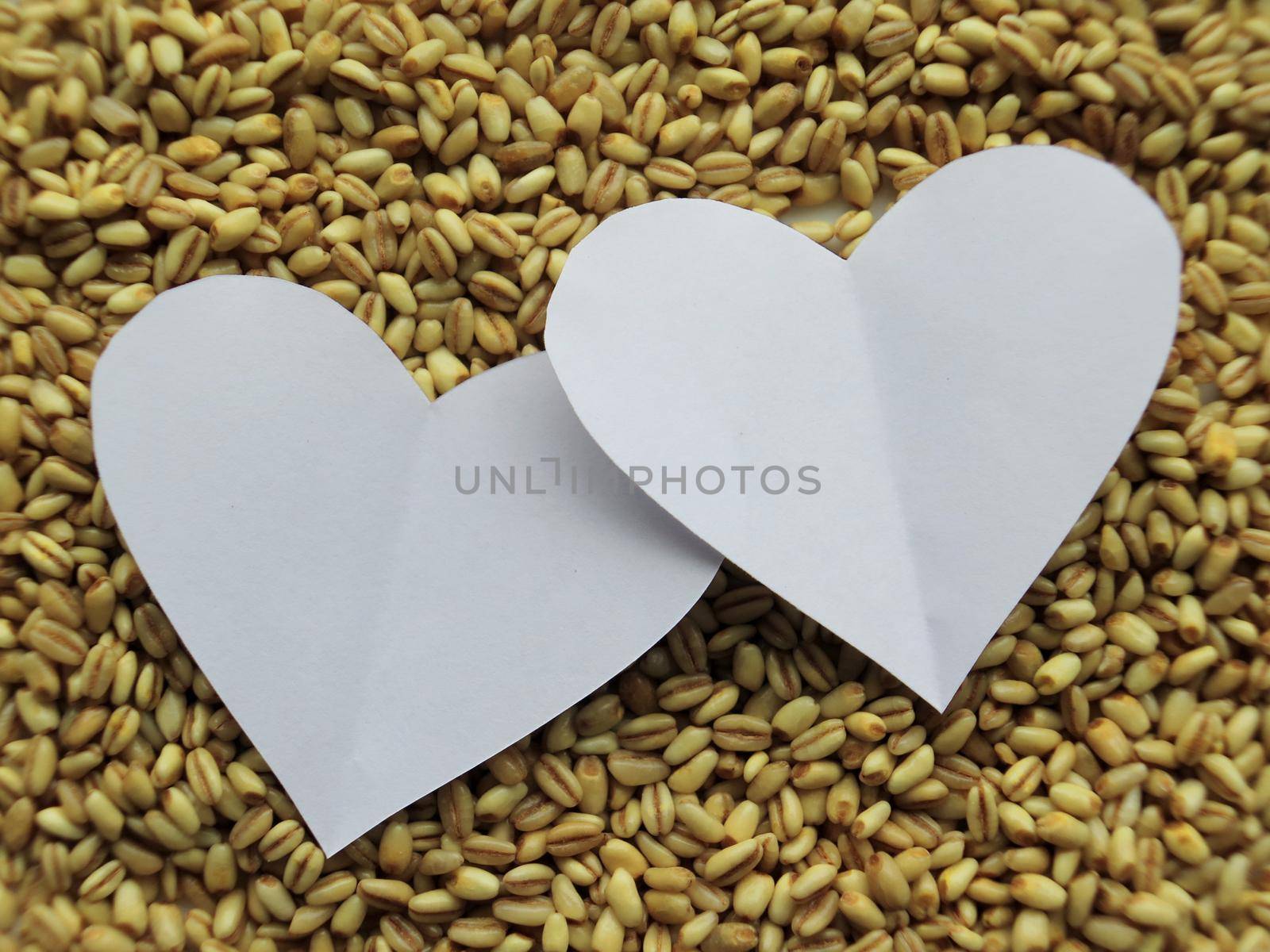 Closeup of White Heart shape on Heap of raw wheat Background by aroas