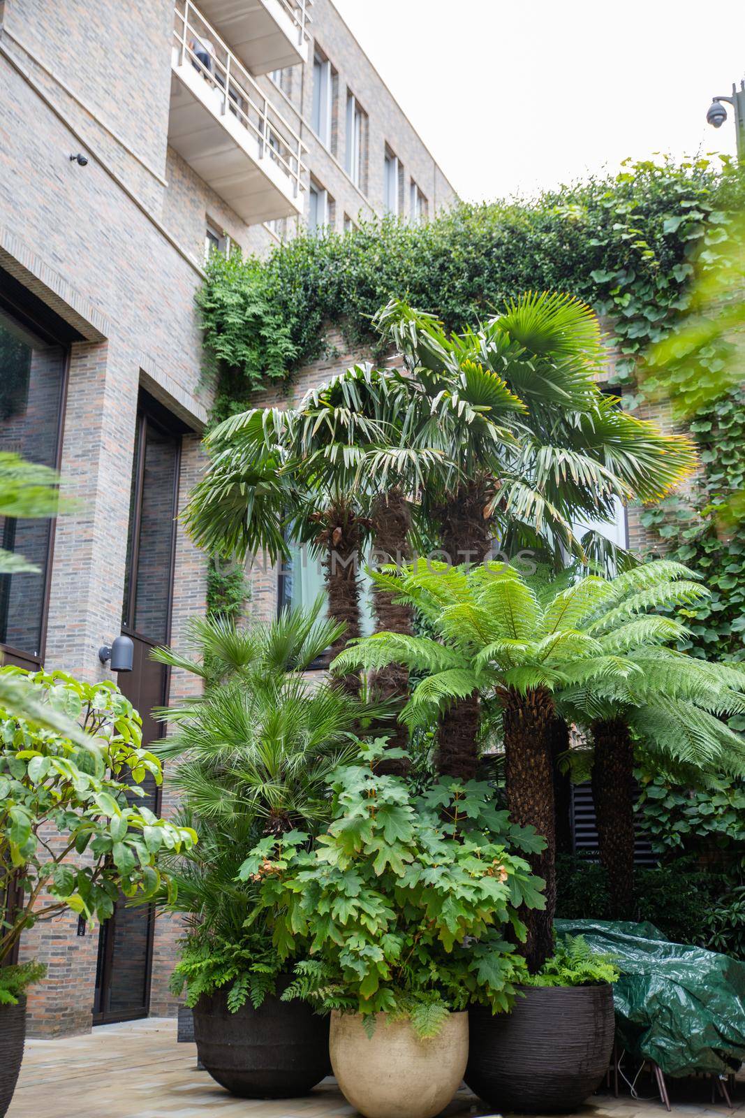 Plants and small palm trees down the stairs and at the entrance of gray building. Door of building with modern architecture surrounded by nature. Houseplants in the city