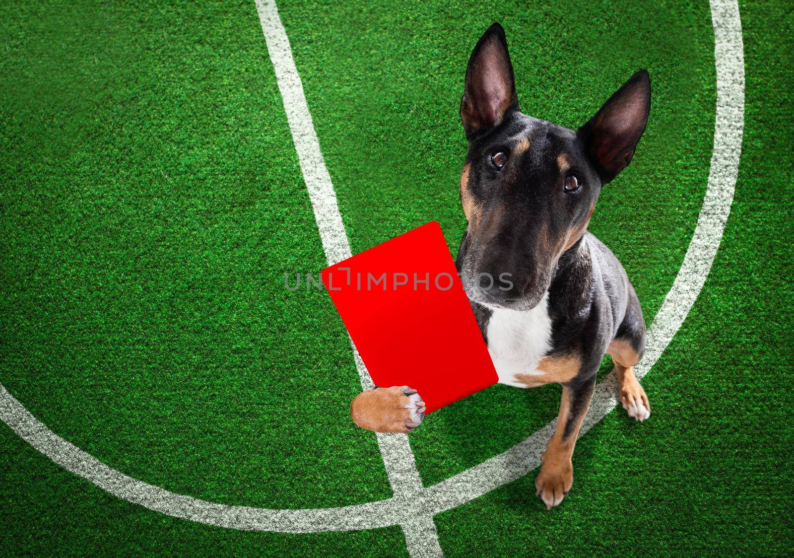 Referee arbitrator dog with whistle by Brosch