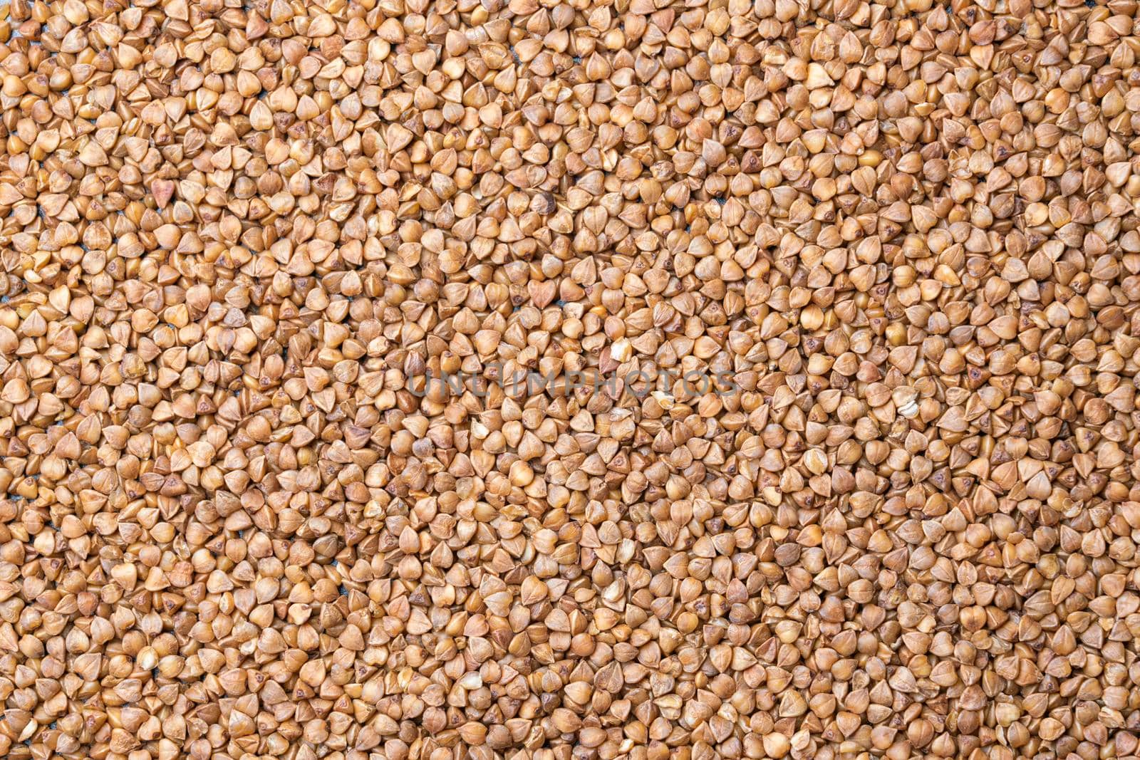 buckwheat seeds close-up for the whole frame. High quality photo