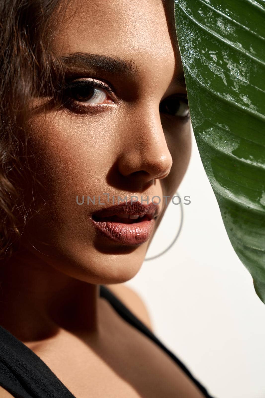 Crop of attractive woman with perfect makeup posing, hiding face behind green leaf. Close up portrait of young female model with clean skin looking at camera isolated on white. Beauty concept.