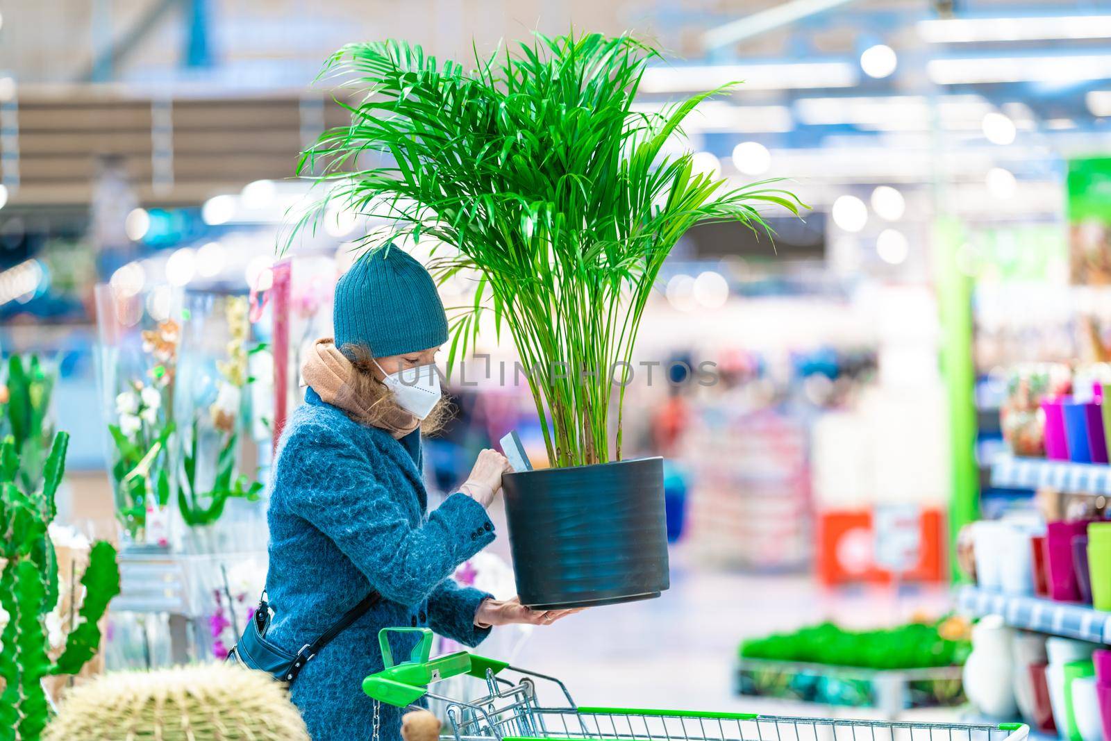 buying plants in a flowerpot in the garden center by Edophoto