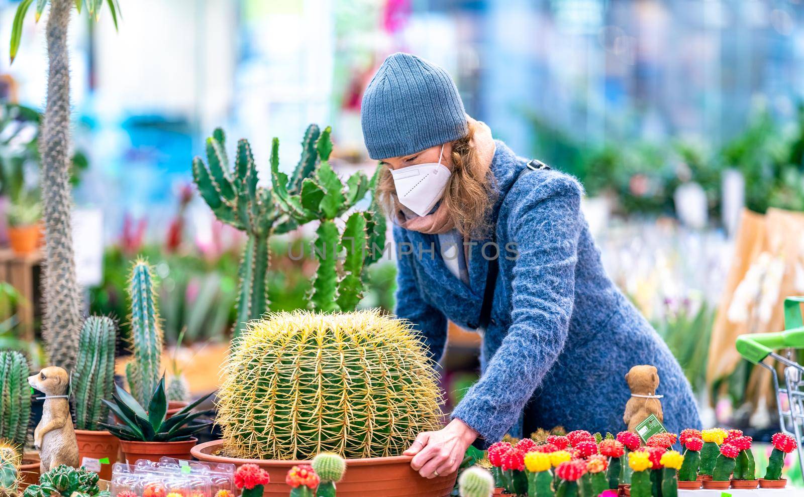 buying a cactus in a flowerpot at the store by Edophoto