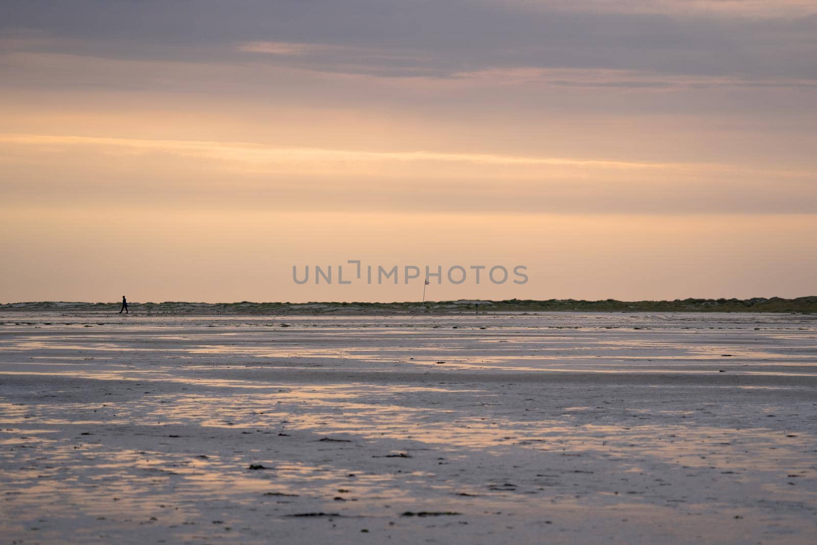 Panoramic image of the coastal landscape of Amrum at sunset, North Sea, Germany