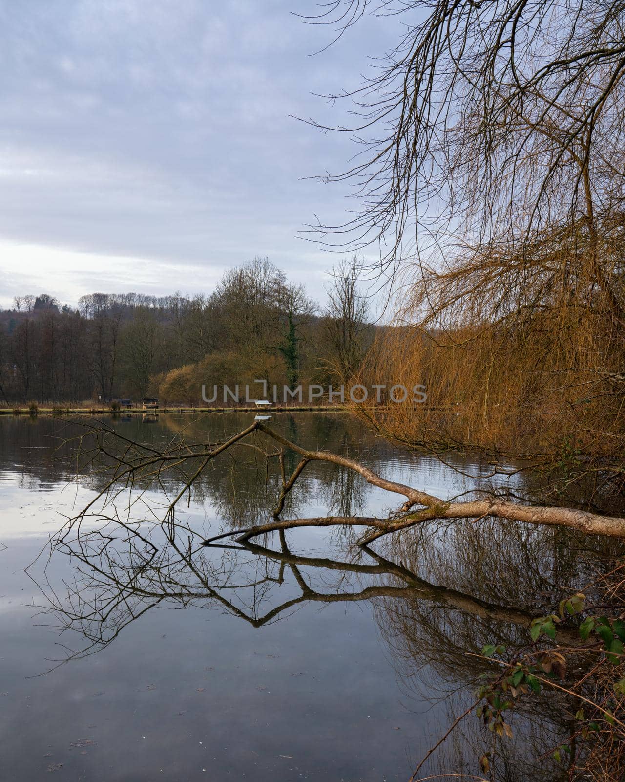 Fishpond close to Lindlar with water reflection during early morning mood, Bergisches Land, Germany