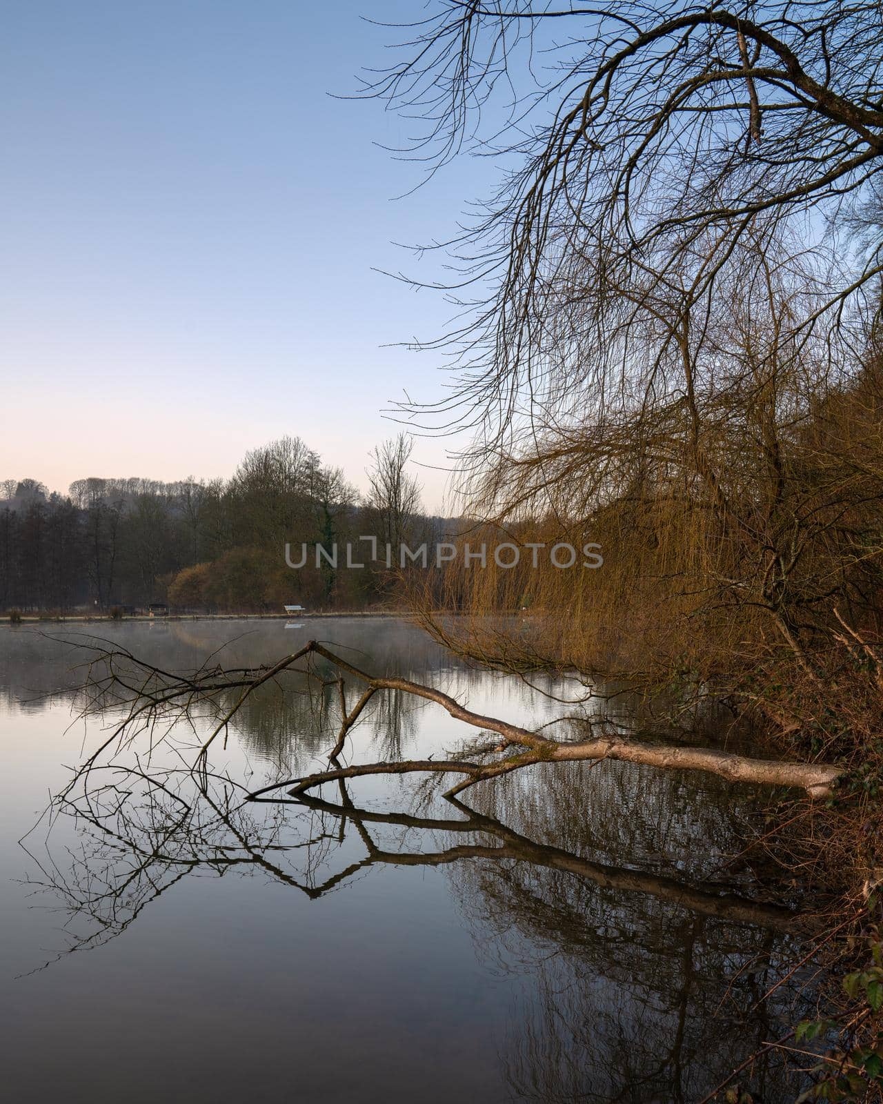 Fishpond close to Lindlar with water reflection during early morning mood, Bergisches Land, Germany