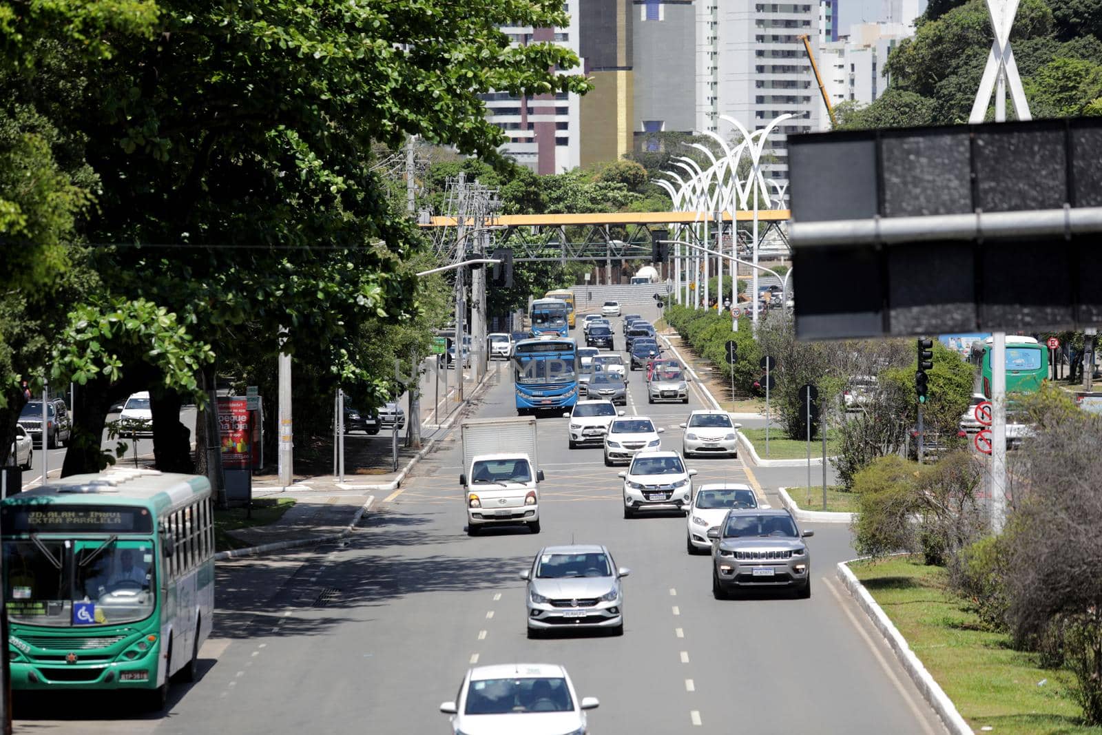 street with many trees in salvador by joasouza