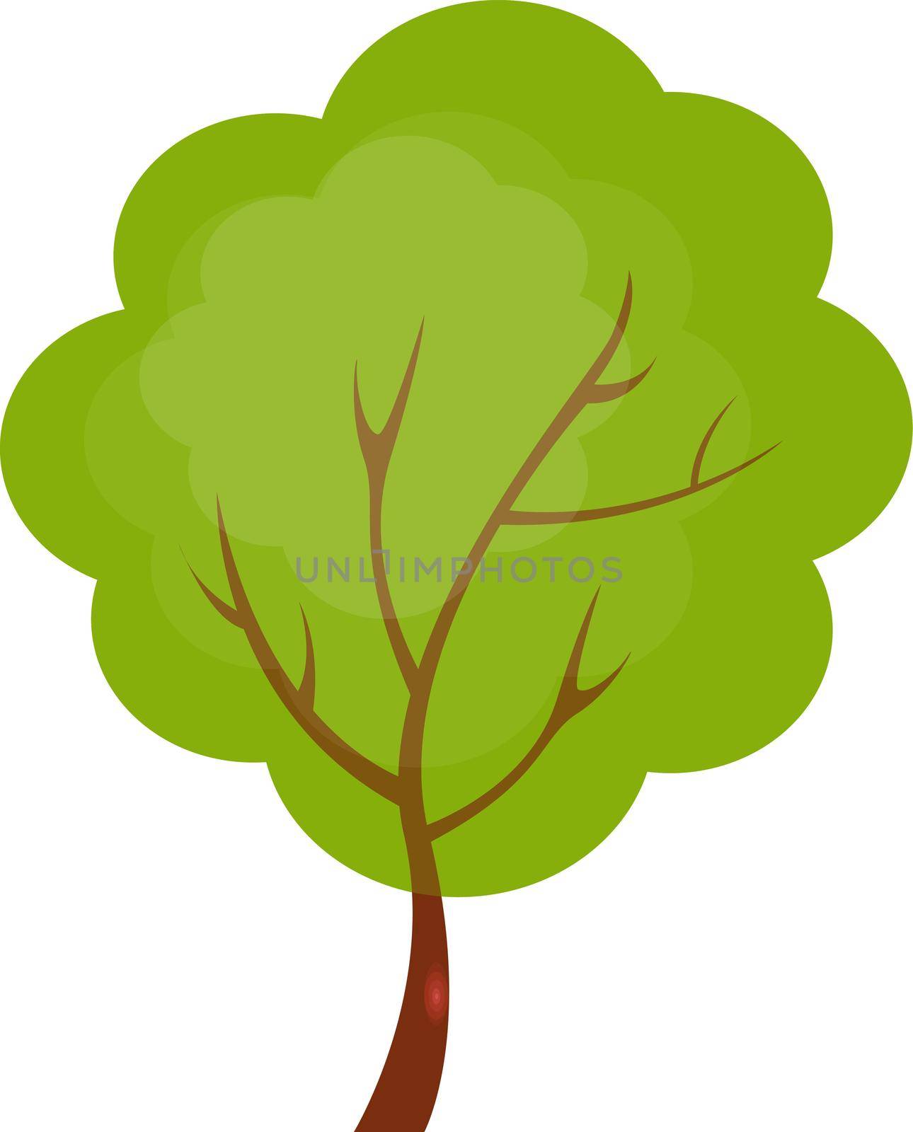 Green tree, illustration, vector on white background. by Morphart
