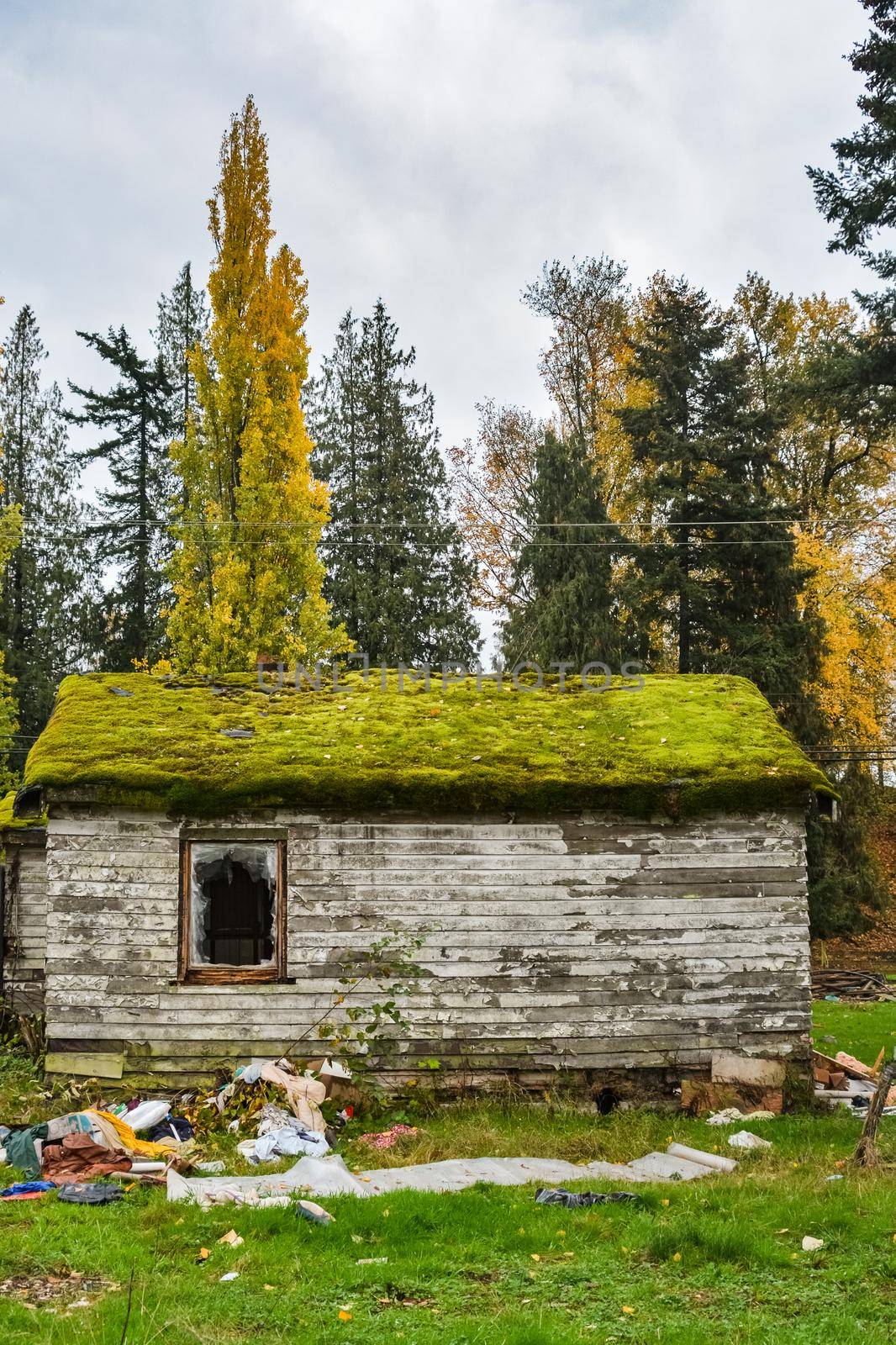 Abandoned, ruined residential house before the final demolition
