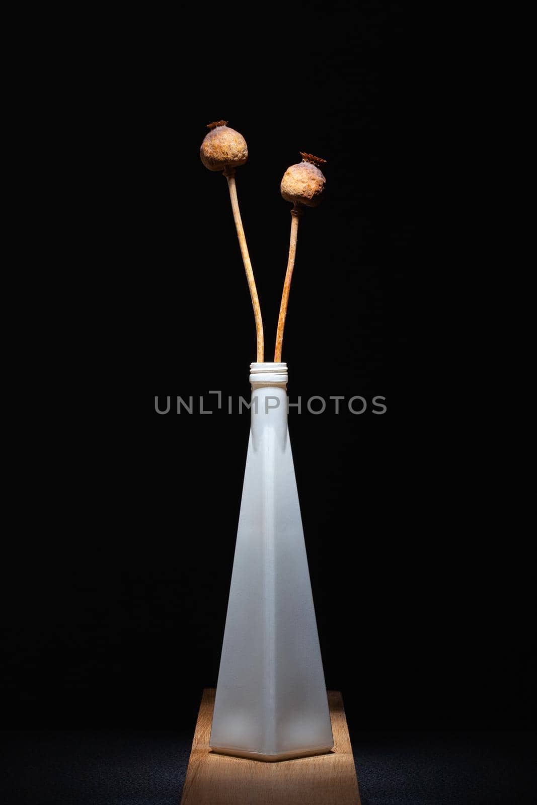 White vase with dry poppy heads on the wooden table in the dark room.  by CaptureLight