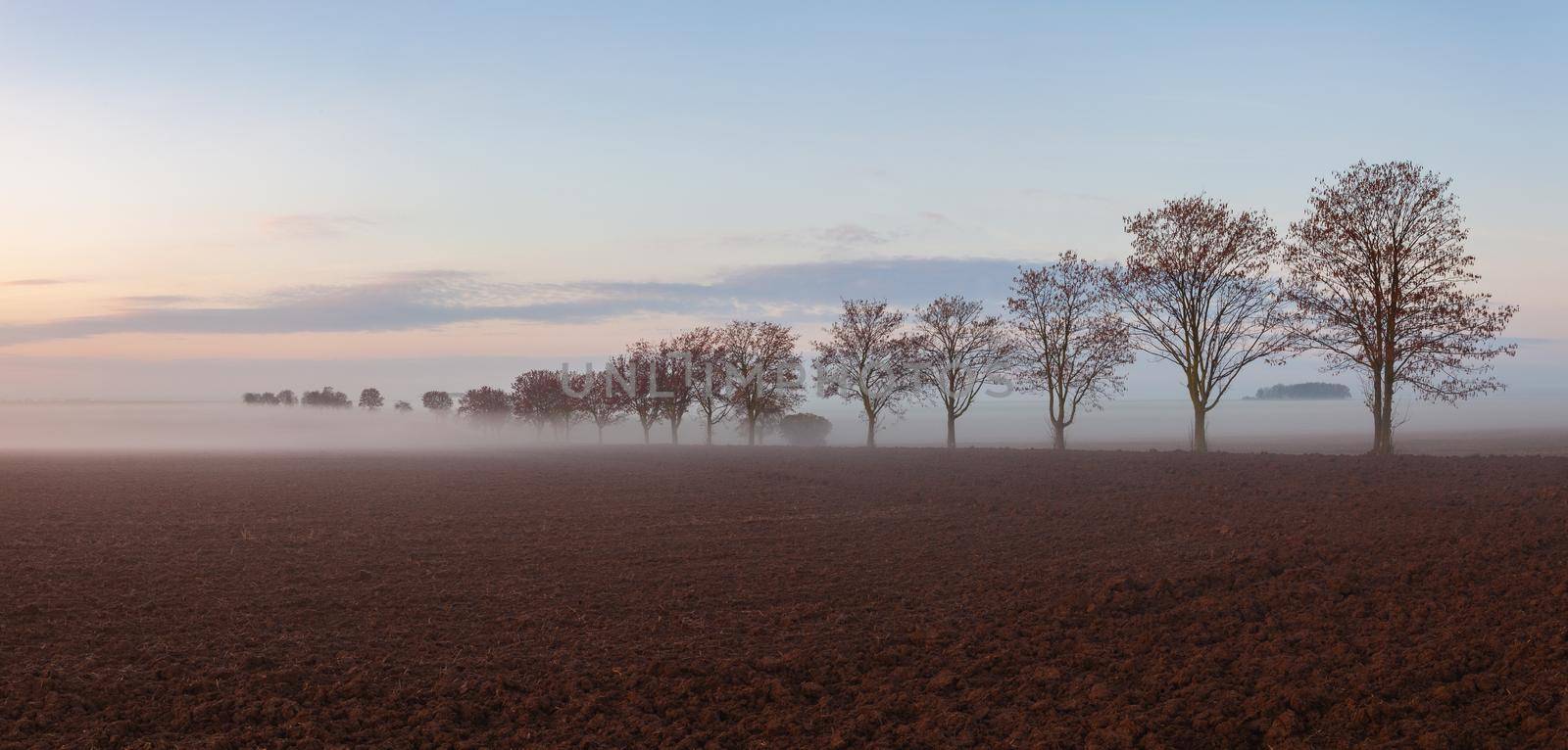 Landscape covered with fog in Central Bohemian Uplands, Czech Republic. Misty morning between fields.