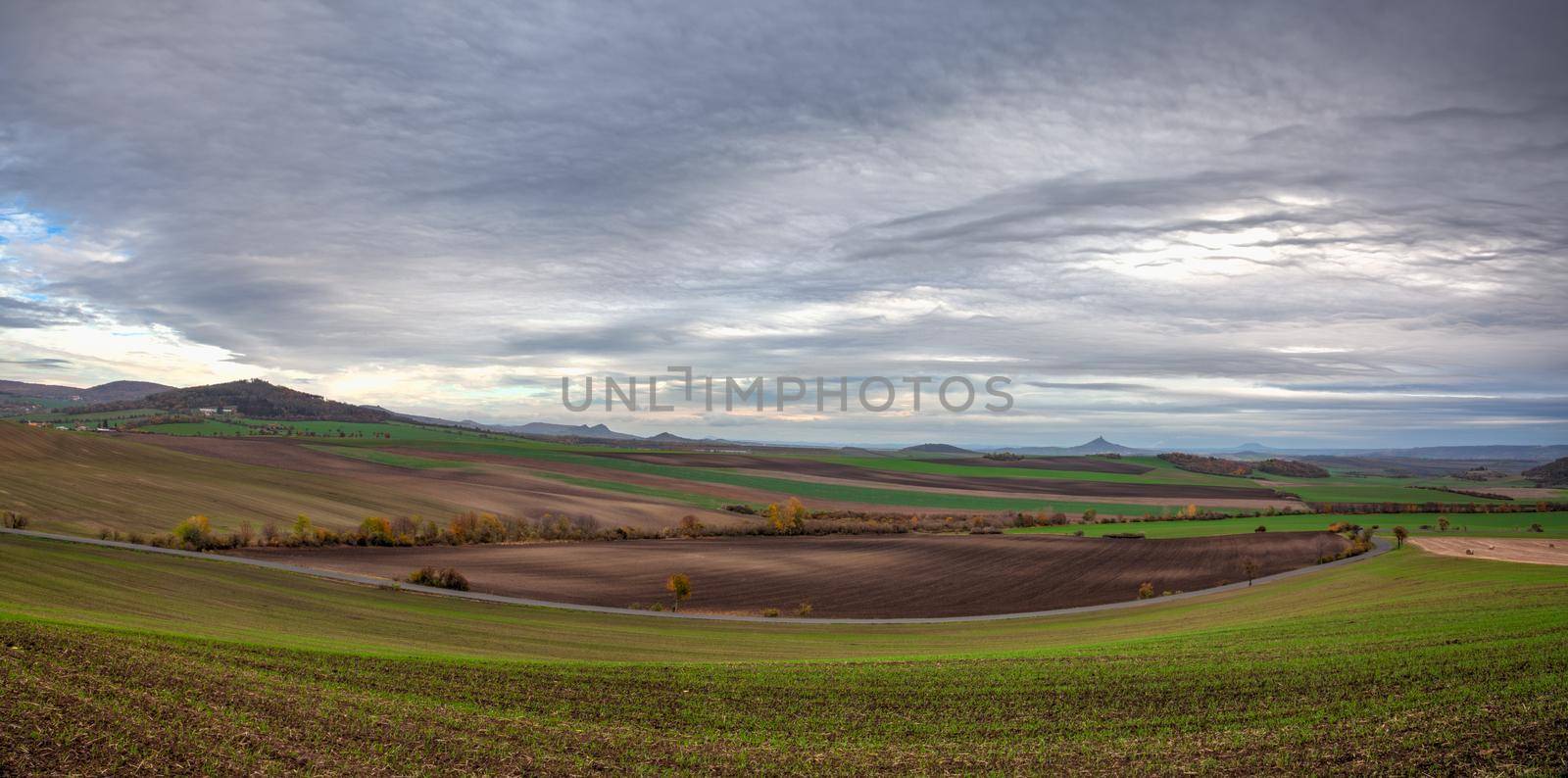 View of field divided into sectors by wheat varieties. Panorama Image. HDR Image.