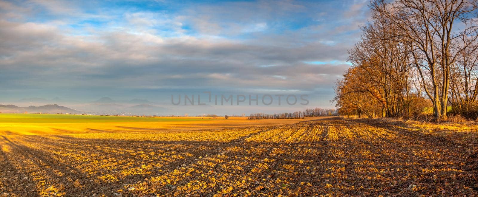 Autumn morning landscape over the city of Louny. Autumn plowed field at amazing sunrise. Czech Republic. Panorama image.