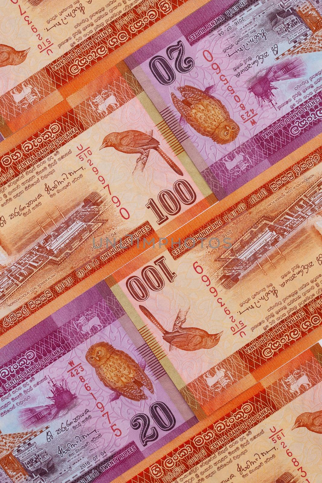 The symmetrical composition of Sri Lankan banknotes. Rupee, the national currency of Sri Lanka.