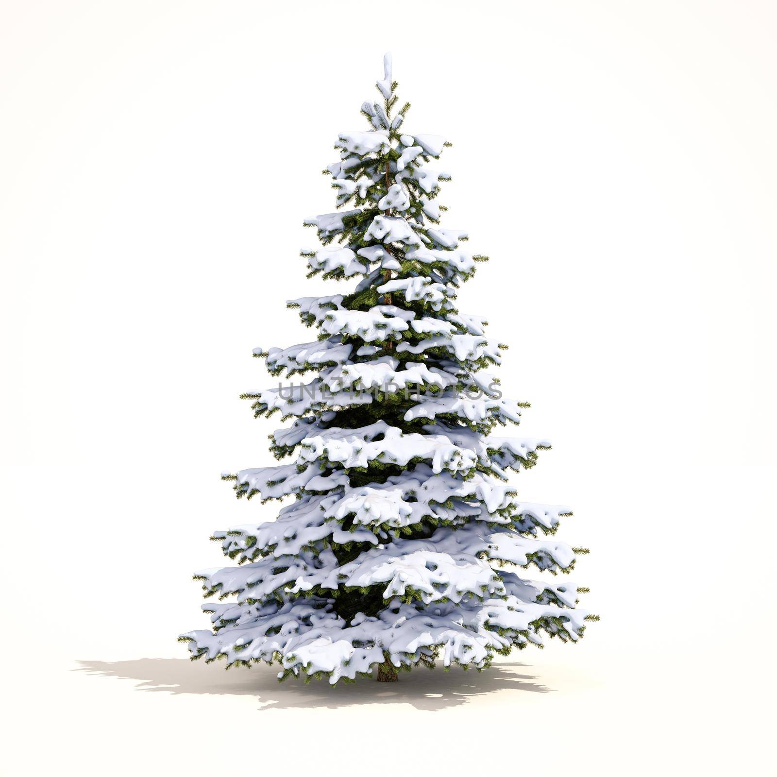 Snow Covered Christmas Tree on White Background, Christmas-tree Background,  Noel Tree, New Year and Happy Holidays Celebrations,  Snow Tree Isolated