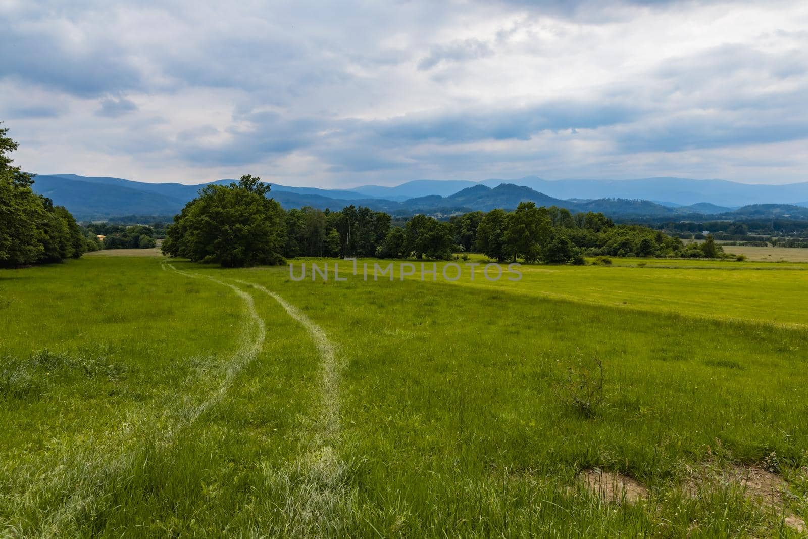 Long path with bushes and fields around in Kaczawskie mountains by Wierzchu