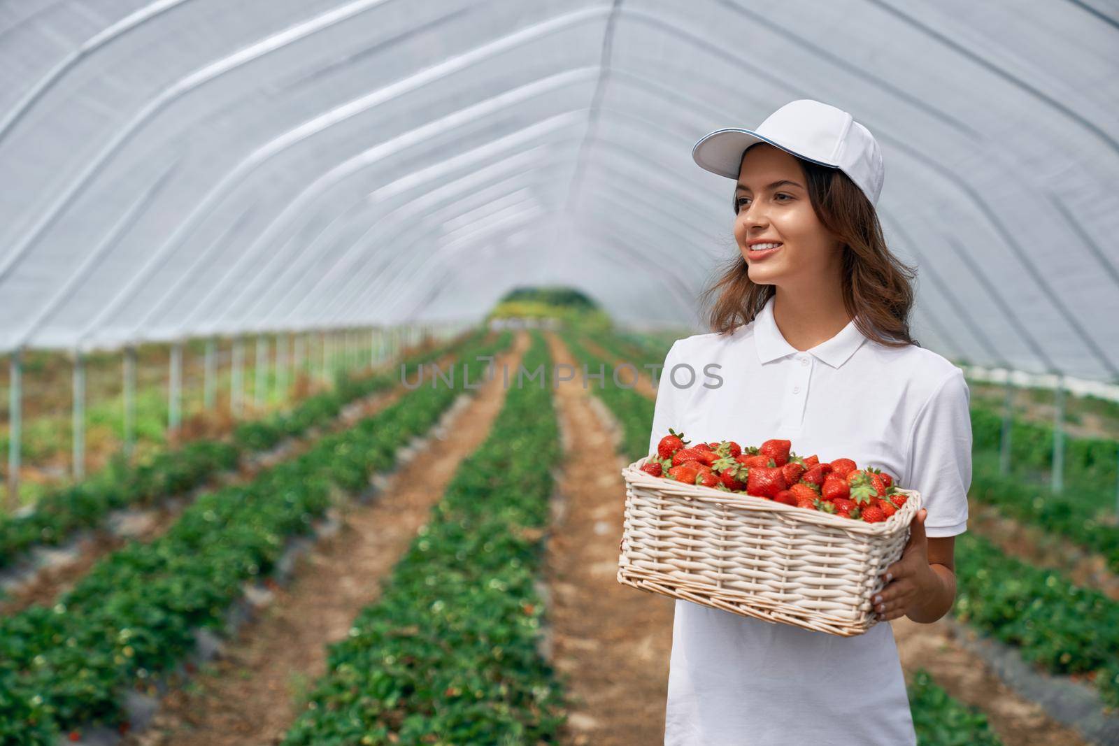 Front view of beautiful female wearing white cap and holding white basket with fresh strawberries. Cute brunette is posing with strawberries in greenhouse and smiling. Concept of greenhouse.
