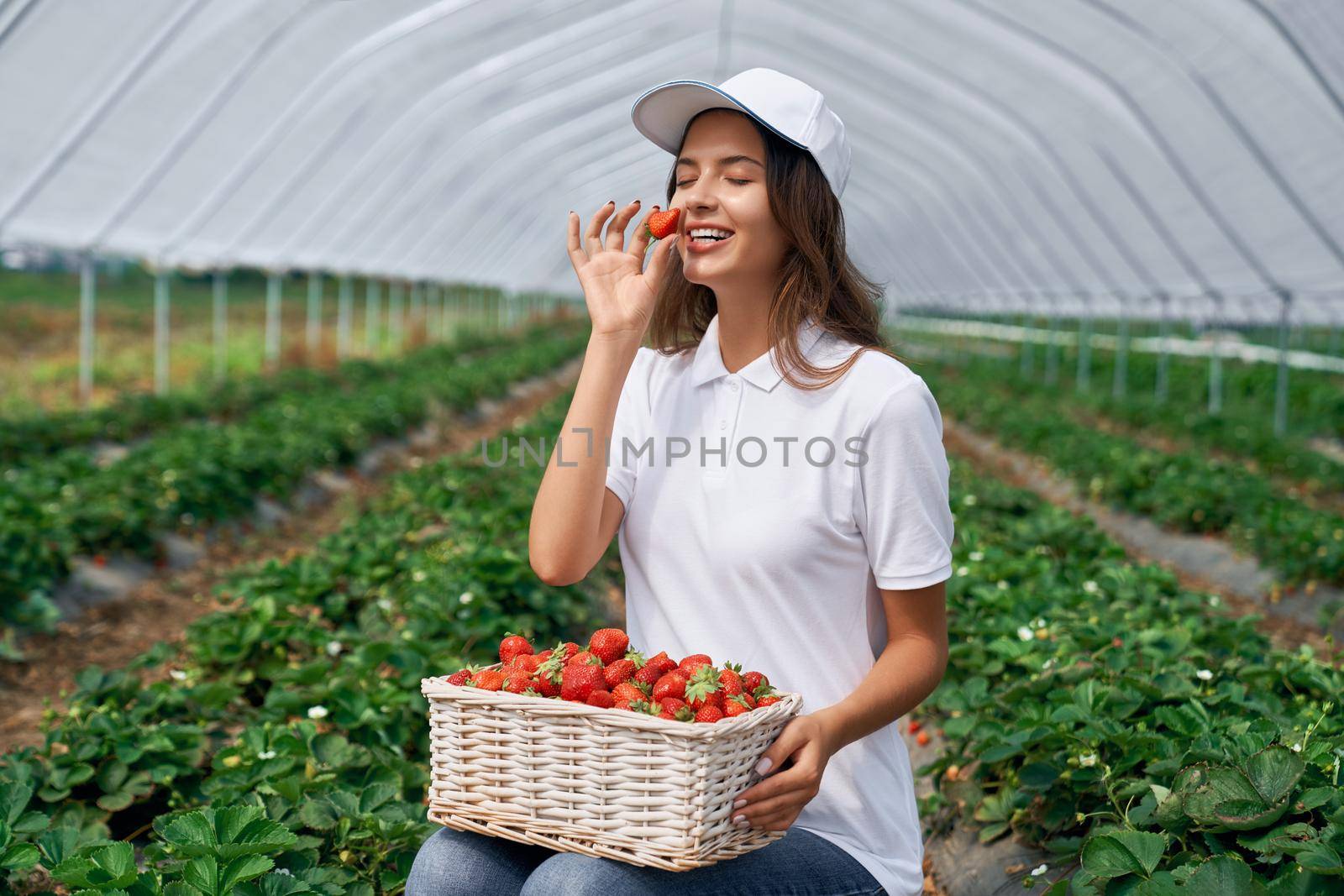 Female field worker is smelling just picked strawberry. by SerhiiBobyk