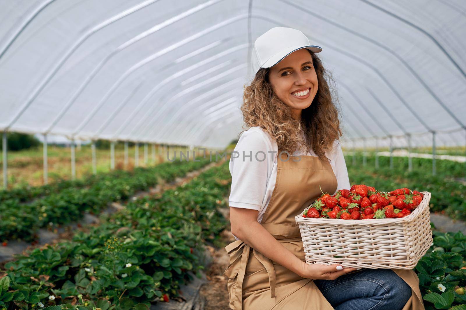 Side view of squatting woman wearing white cap and apron is holding big basket of fresh strawberries. Curly brunette ispicking strawberries in greenhouse and smiling . Concept of field worker.