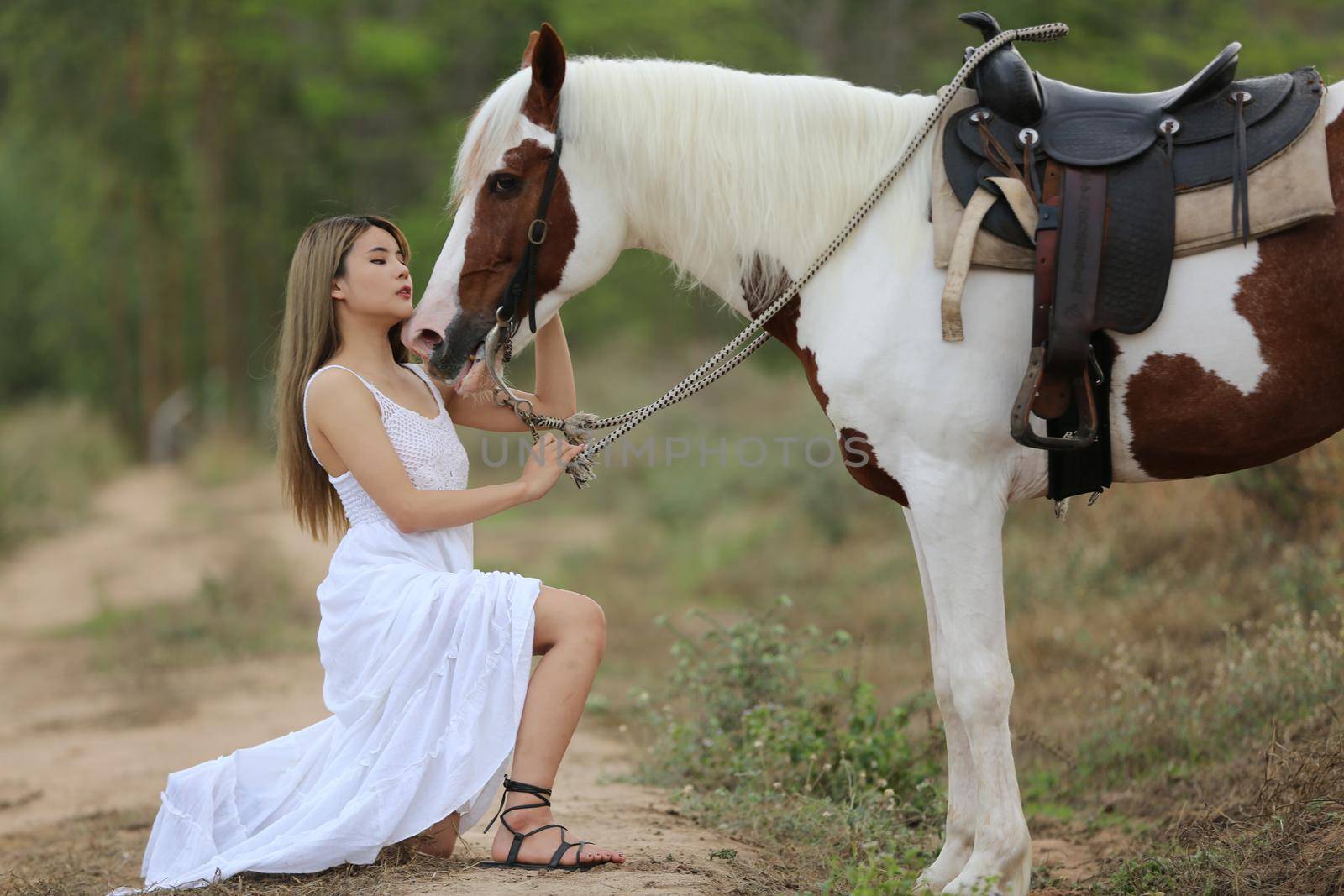 Women on skirt dress Riding Horses On field landscape Against Sky During Sunset